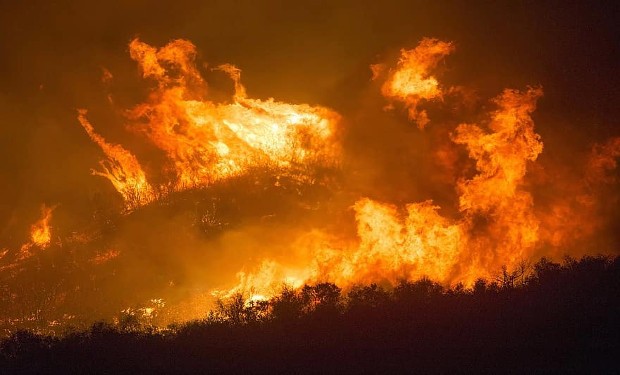 Amazzonia in fiamme: Bolsonaro nega e il Parlamento Europeo pensa di deferirlo alla Corte Penale Internazionale